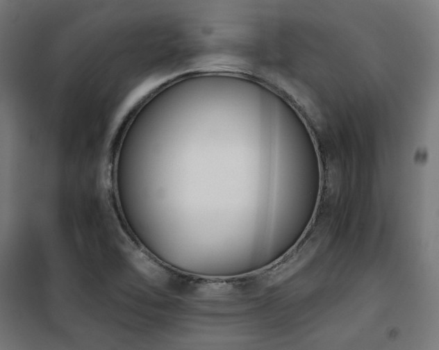 X0000101461462200807071418