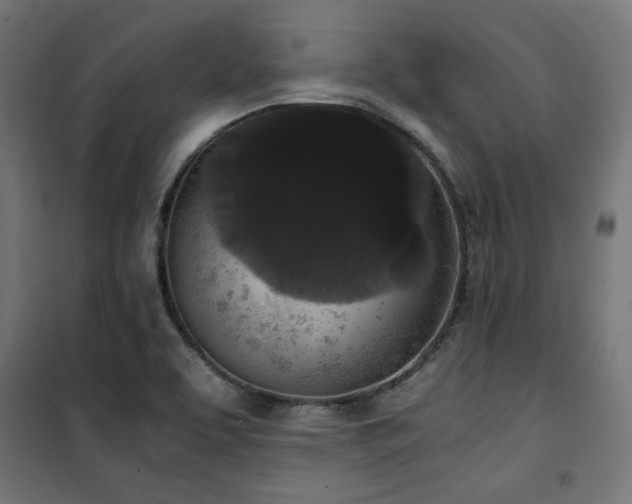 X0000101461463200807071418