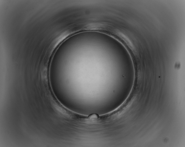 X0000101461465200807071418