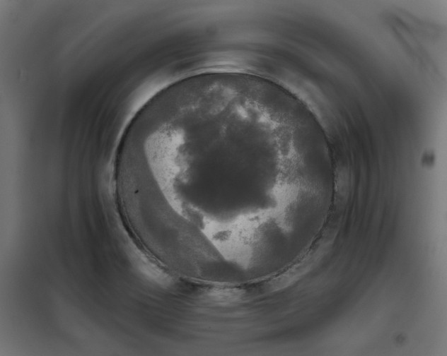 X0000101461466200807071418
