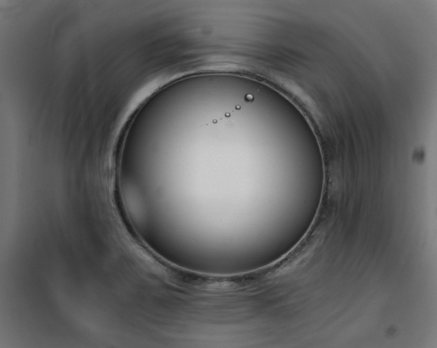 X0000101461467200807071418