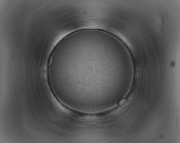 X0000101461468200807071418