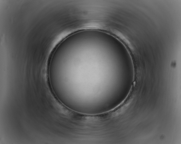X0000101461469200807071418