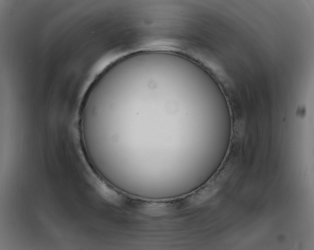 X0000101461470200807071418