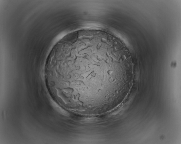X0000101461471200807071418