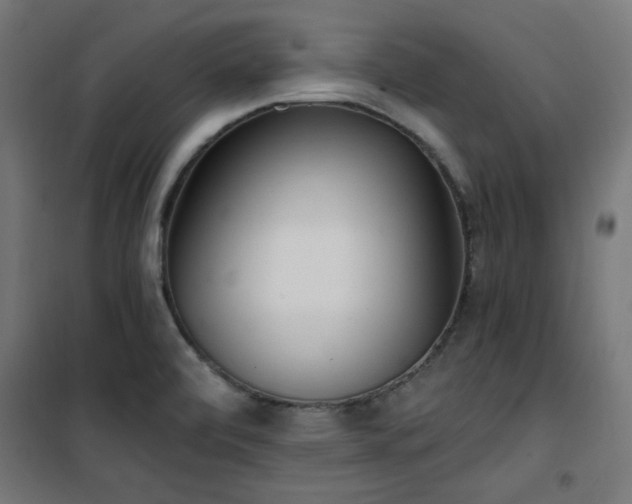 X0000101461472200807071418