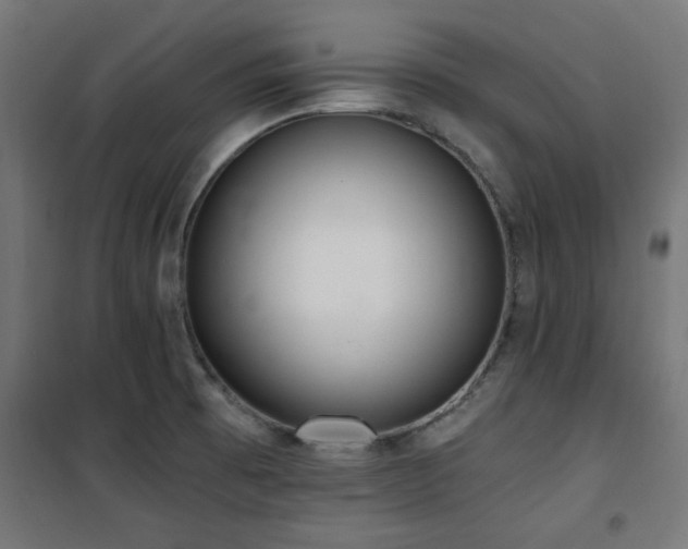 X0000101461473200807071418