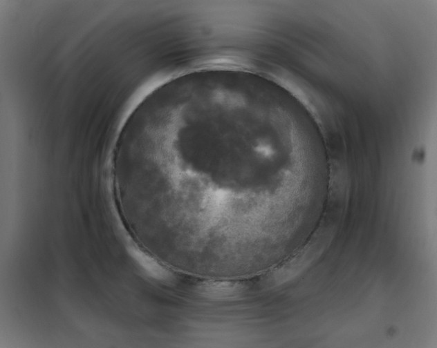 X0000101461474200807071418