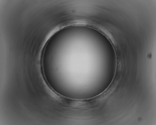 X0000101461475200807071418