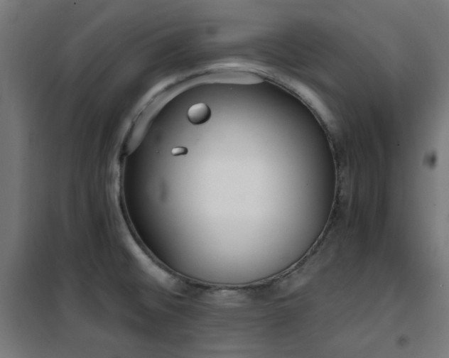 X0000101461476200807071418