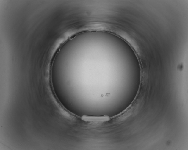 X0000101461477200807071418
