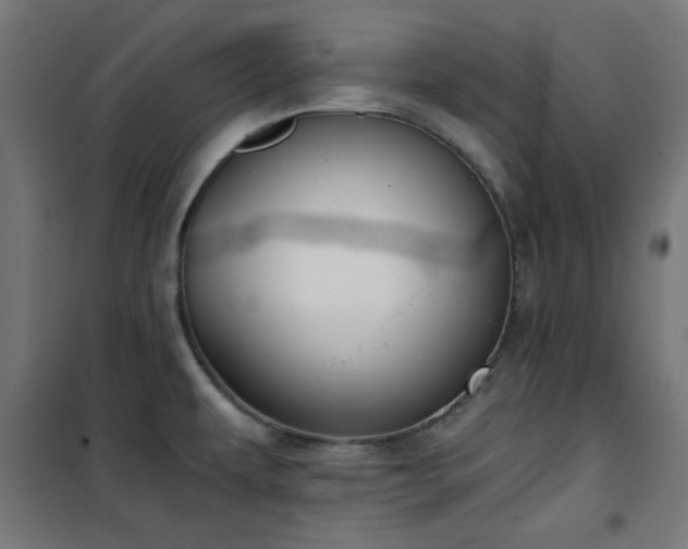 X0000101461479200807071418