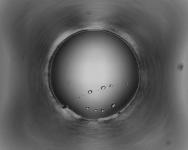 X0000101461480200807071417