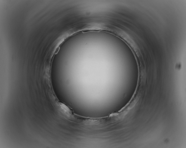 X0000101461481200807071417