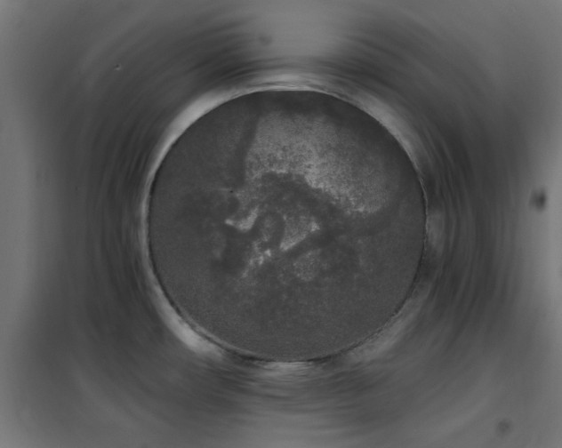 X0000101461482200807071417