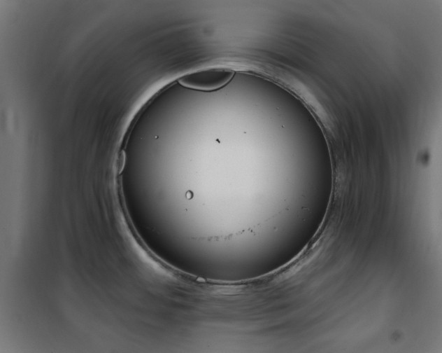 X0000101461484200807071417