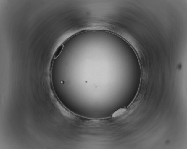 X0000101461485200807071417