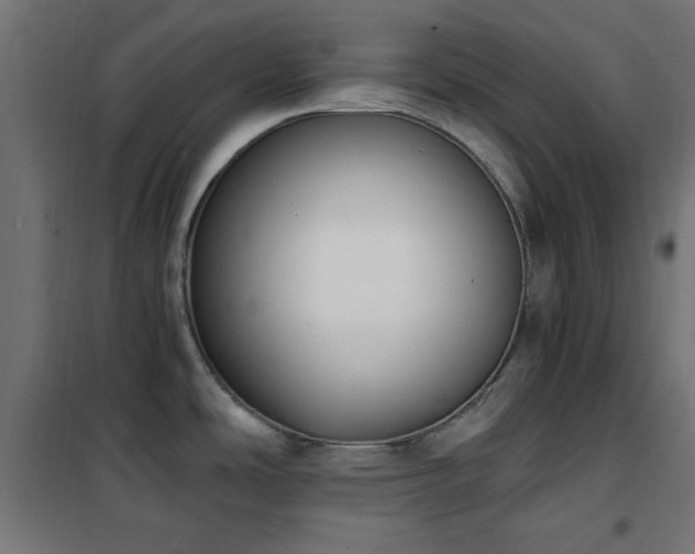 X0000101461486200807071417