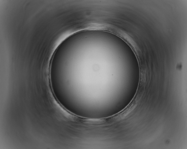 X0000101461487200807071417