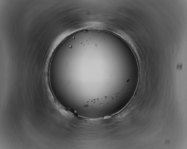 X0000101461488200807071417