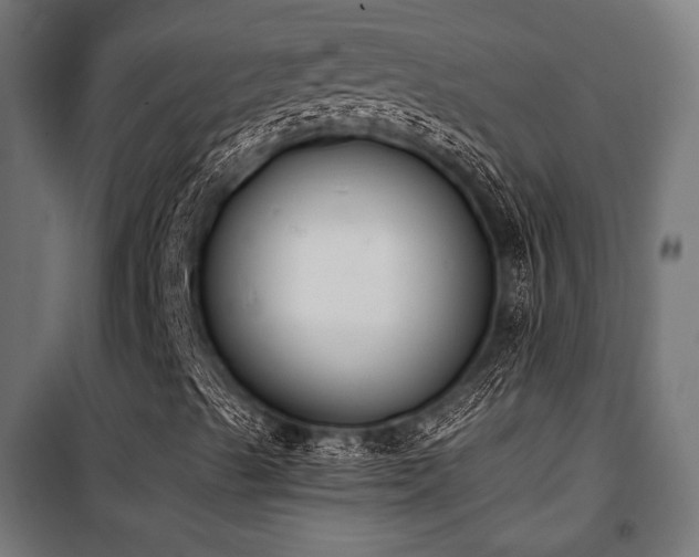 X0000101461489200807071417