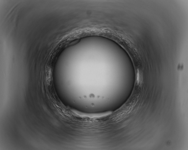 X0000101461492200807071417