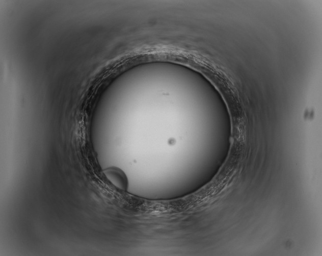 X0000101461493200807071417