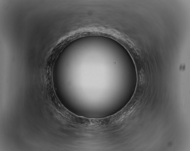 X0000101461494200807071417