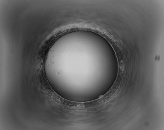 X0000101461495200807071417