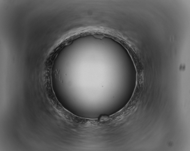 X0000101461496200807071417