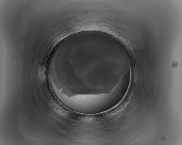 X0000101461497200807071417