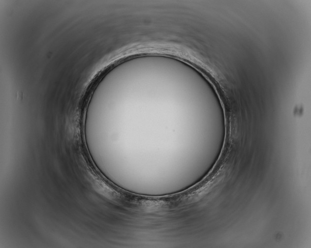 X0000101461498200807071417