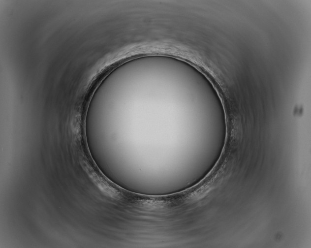 X0000101461499200807071417