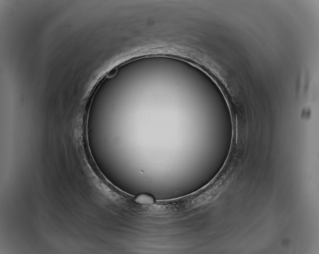 X0000101461500200807071417