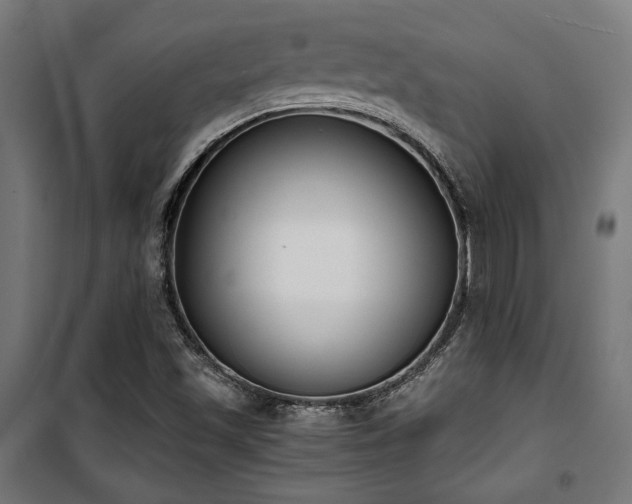 X0000101461501200807071417