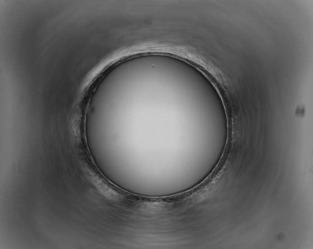 X0000101461502200807071417