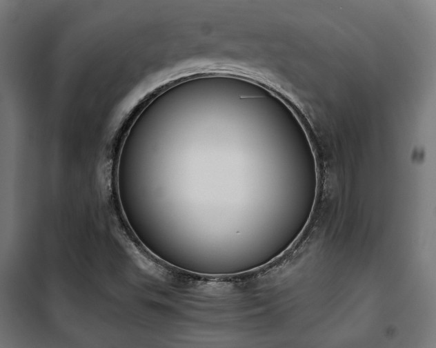 X0000101461503200807071417