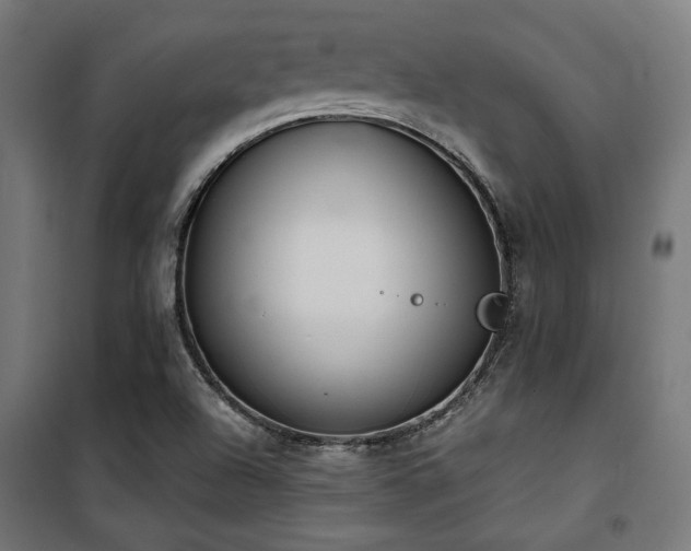 X0000101461504200807071417