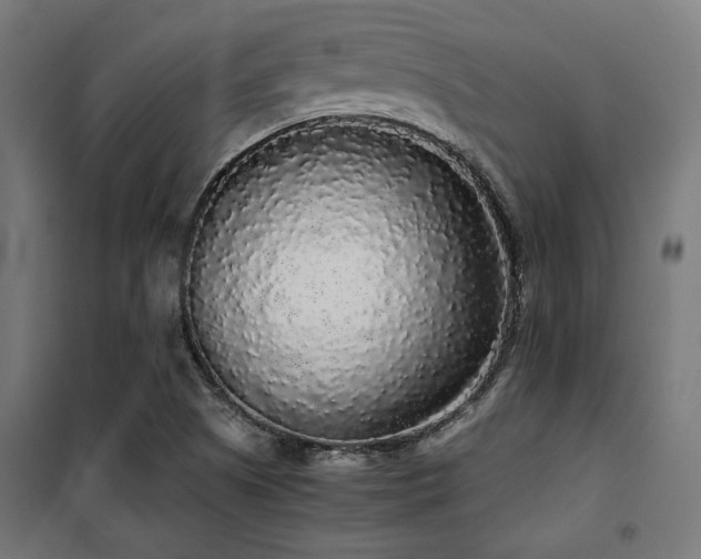 X0000101461505200807071417
