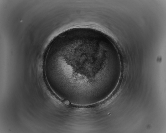 X0000101461506200807071417