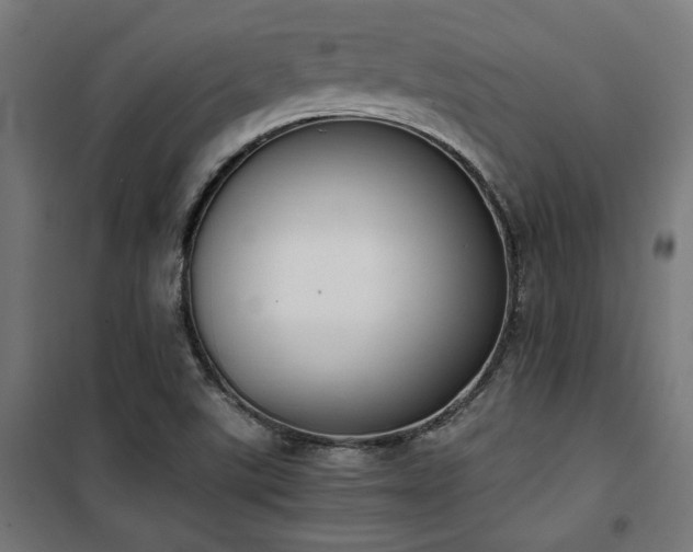 X0000101461507200807071417