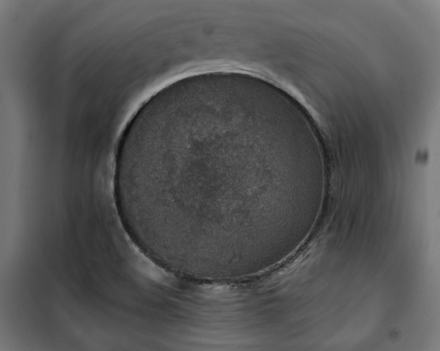 X0000101461508200807071417