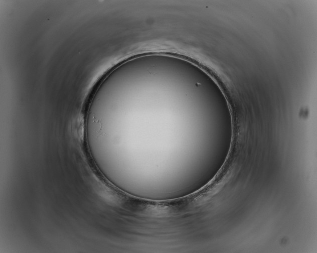 X0000101461509200807071417