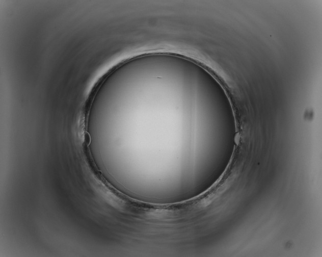 X0000101461510200807071417