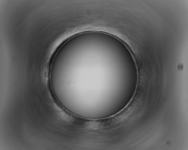X0000101461511200807071417