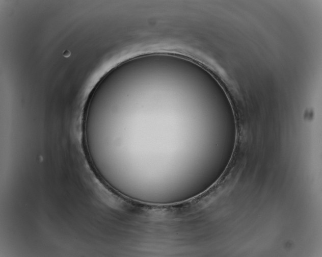 X0000101461512200807071417