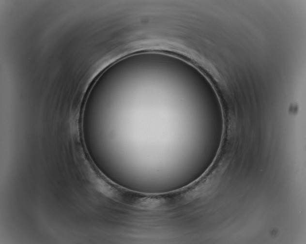 X0000101461513200807071417