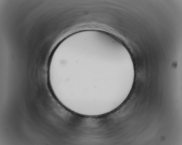 X0000101461514200807071417