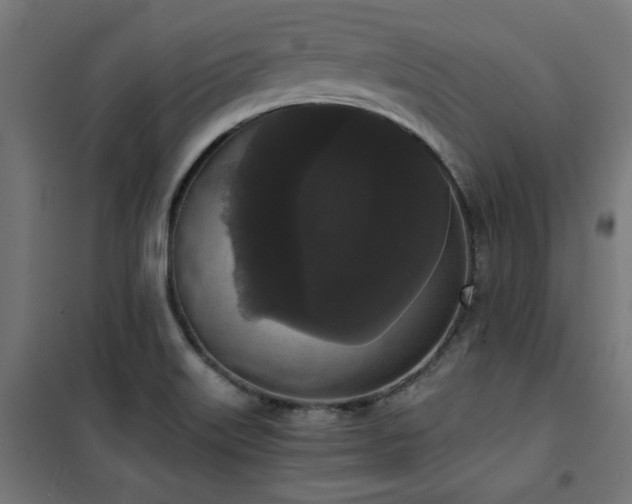 X0000101461515200807071417