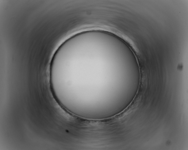 X0000101461516200807071417